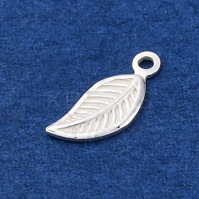 925 Sterling Silver Charms STER-D301-04S-04-1