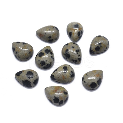 Natural Dalmatian Jasper Cabochons G-O175-22-11-1