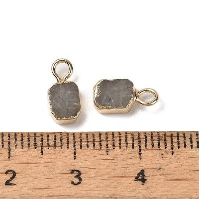 Natural Labradorite Rectangle Charms G-Q169-07G-11-1