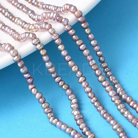 Natural Cultured Freshwater Pearl Beads Strands PEAR-I007-07K-03-1