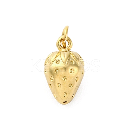 304 Stainless Steel Charms STAS-U049-01A-02G-1