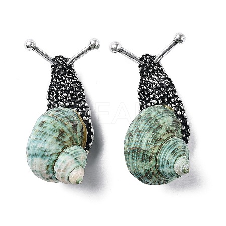 Snail Green Natural Conch Shell Fossil Brooch Pin JEWB-A020-02AS-02-1
