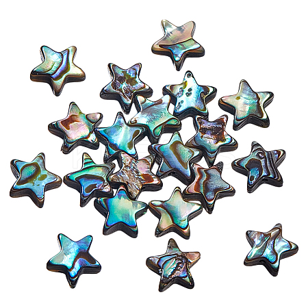 20Pcs Natural Paua Shell Beads Strands BSHE-GA0001-02-1