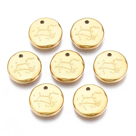 316 Surgical Stainless Steel Charms STAS-S116-418H-G-1