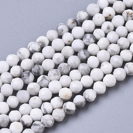 Natural Howlite Beads Strands G-R460-026-1