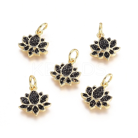 Brass Micro Pave Cubic Zirconia Charms X-ZIRC-G161-22-1