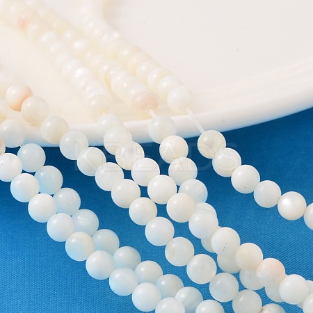 Natural Shell Beads Strands X-PRS001Y-1
