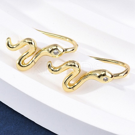 Snake Brass Micro Pave Cubic Zirconia Dangle Earrings EJEW-G425-04G-01-1