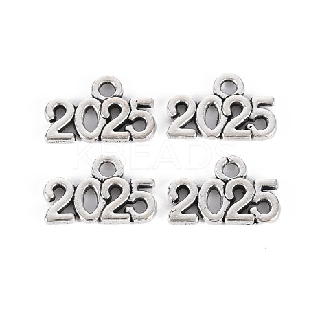 Tibetan Style Alloy Charms TIBE-S323-110AS-RS-1