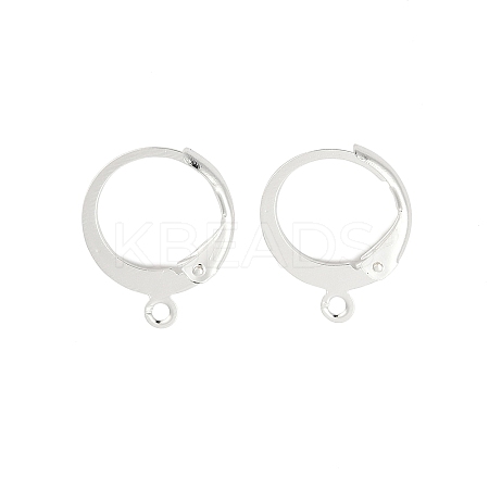 316L Surgical Stainless Steel Leverback Earring Findings STAS-F075-38S-1
