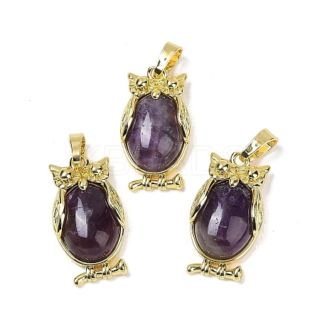 Natural Amethyst Pendant KK-F887-02G-03-1