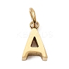 304 Stainless Steel Charms SA-CBABF3F-01G-A-1