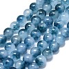 Natural Malaysia Jade Beads Strands G-L645-C01-10mm-24-1