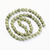 Natural Gemstone Beads GSR6mmC032-5