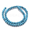 Synthetic Turquoise Beads Strands Z0NDC013-1-2