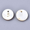 Natural Freshwater Shell Charms SHEL-Q023-05-2