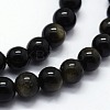 Natural Golden Sheen Obsidian Beads Strands G-I199-14-6mm-3