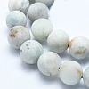 Natural Aquamarine Beads Strands X-G-E483-22-8mm-3