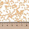 TOHO Round Seed Beads SEED-TR08-0391-4