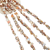  5 Strands Natural Freshwater Shell Beads Strands SHEL-NB0001-57-1