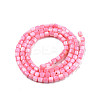 Natural Freshwater Shell Beads Strands X-SHEL-N003-33-A09-2