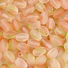 Frosted Glass Seed Beads SEED-N008-05D-3