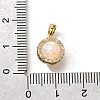 Brass Micro Pave Cubic Zirconia Pendants KK-K398-27G-01-3