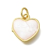 Brass with Enamel Pendants KK-D295-26G-03-1