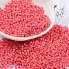 Baking Paint Glass Seed Beads X-SEED-S042-05B-87-1