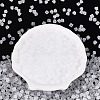 FGB Frosted Transparent Glass Seed Beads SEED-N013-03A-01-2
