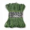 10 Skeins 12-Ply Metallic Polyester Embroidery Floss OCOR-Q057-A08-1
