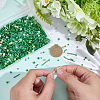 180G Glass Seed Beads SEED-SC0001-58-3