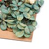 Dried Flower DIY-B018-11-2