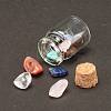 Transparent Glass Wishing Bottle Decoration DJEW-A001-01C-16-4