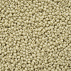 11/0 Grade A Round Glass Seed Beads SEED-N001-A-1033-2