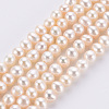 Natural Cultured Freshwater Pearl Beads Strands PEAR-R063-07A-2