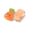 Cartoon Transparent Resin Cabochons CRES-R459-01C-2