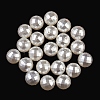ABS Plastic Imitation Shell Pearl Beads KY-S171-17E-1