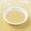 MIYUKI Round Rocailles Beads SEED-G007-RR0273-2