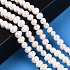 Natural Cultured Freshwater Pearl Beads Strands PEAR-N013-05K-2