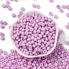 Baking Paint Glass Seed Beads SEED-C003-02C-2