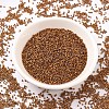 MIYUKI Delica Beads SEED-X0054-DB0505-2