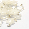 Star Natural Crystal Pendants G-Q367-07-1