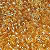 TOHO 8/0 Round Beads SEED-TR08-0022A-3