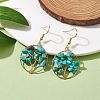 Natural Mixed Stone Chips Dangle Earrings EJEW-JE05726-4