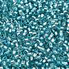 Glass Seed Beads X-SEED-S042-04B-23-3