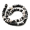 Natural Zebra Jasper Beads Strands G-A280-A22-02-3