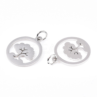 Non-Tarnish 304 Stainless Steel Pendants LS-STAS-N103-03P-1