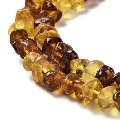 Natural Amber Beads Strands G-L095-L01-04-1