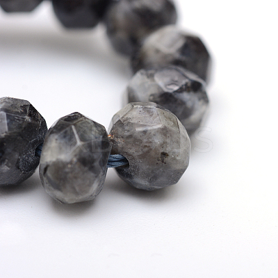 Faceted Rondelle Dyed Natural Sesame Jasper/Kiwi Jasper Bead Strands G-R343-6x8-20-1